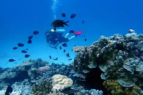 Phuket underwater wonders